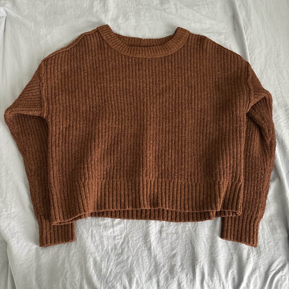 American Eagle Outfitters Brown Crew Neck Sweater
